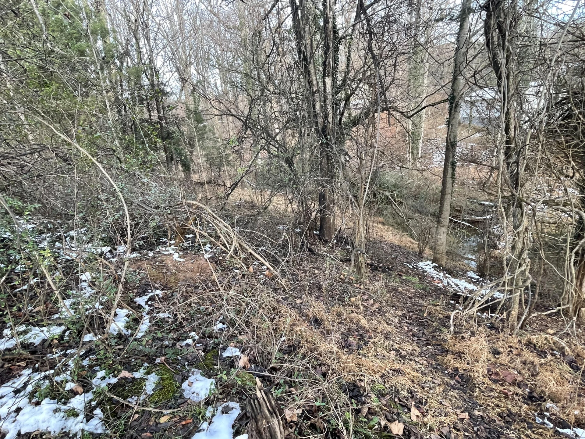 0 Burks Hill RD - Photo 17