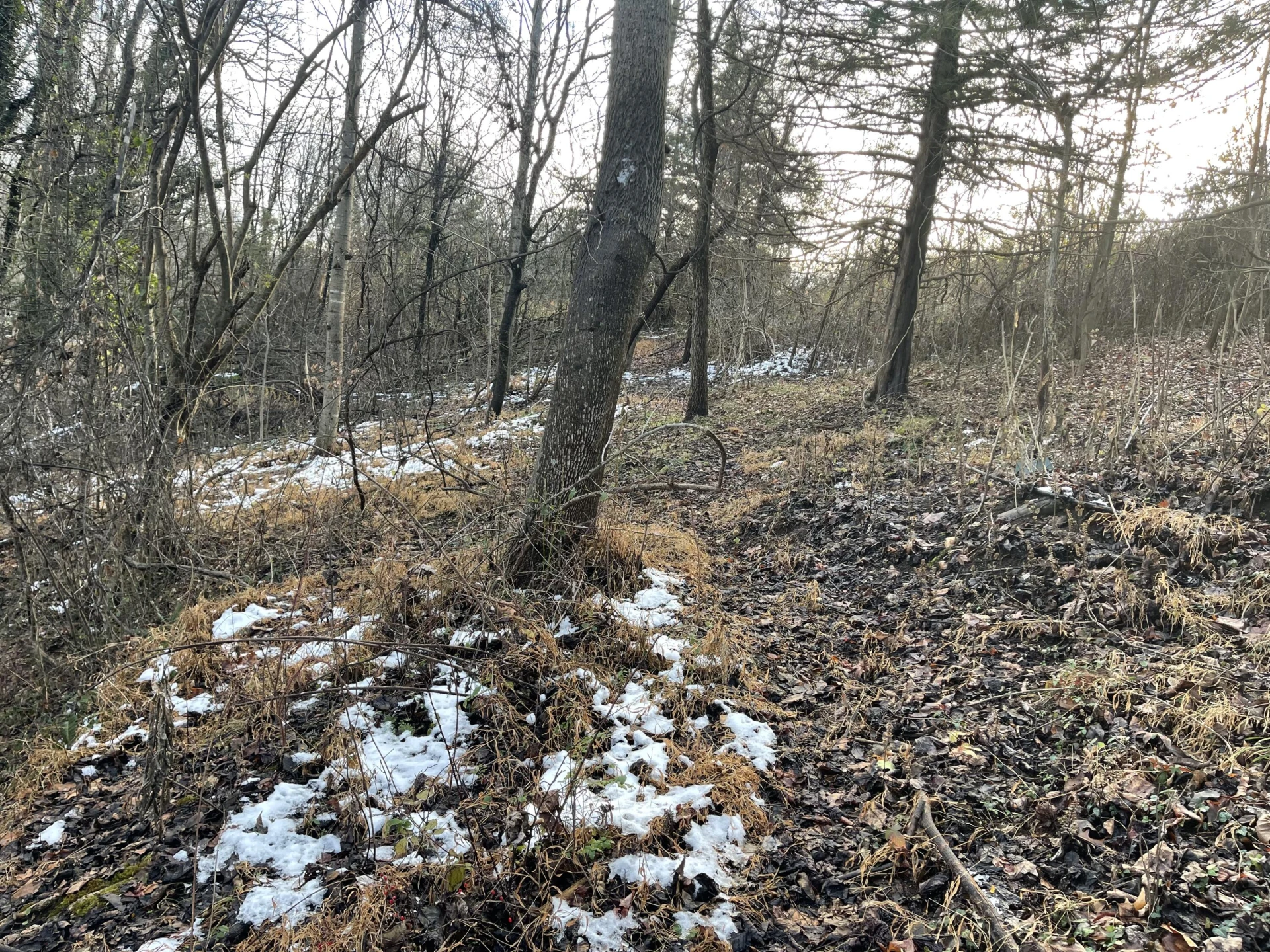 0 Burks Hill RD - Photo 18
