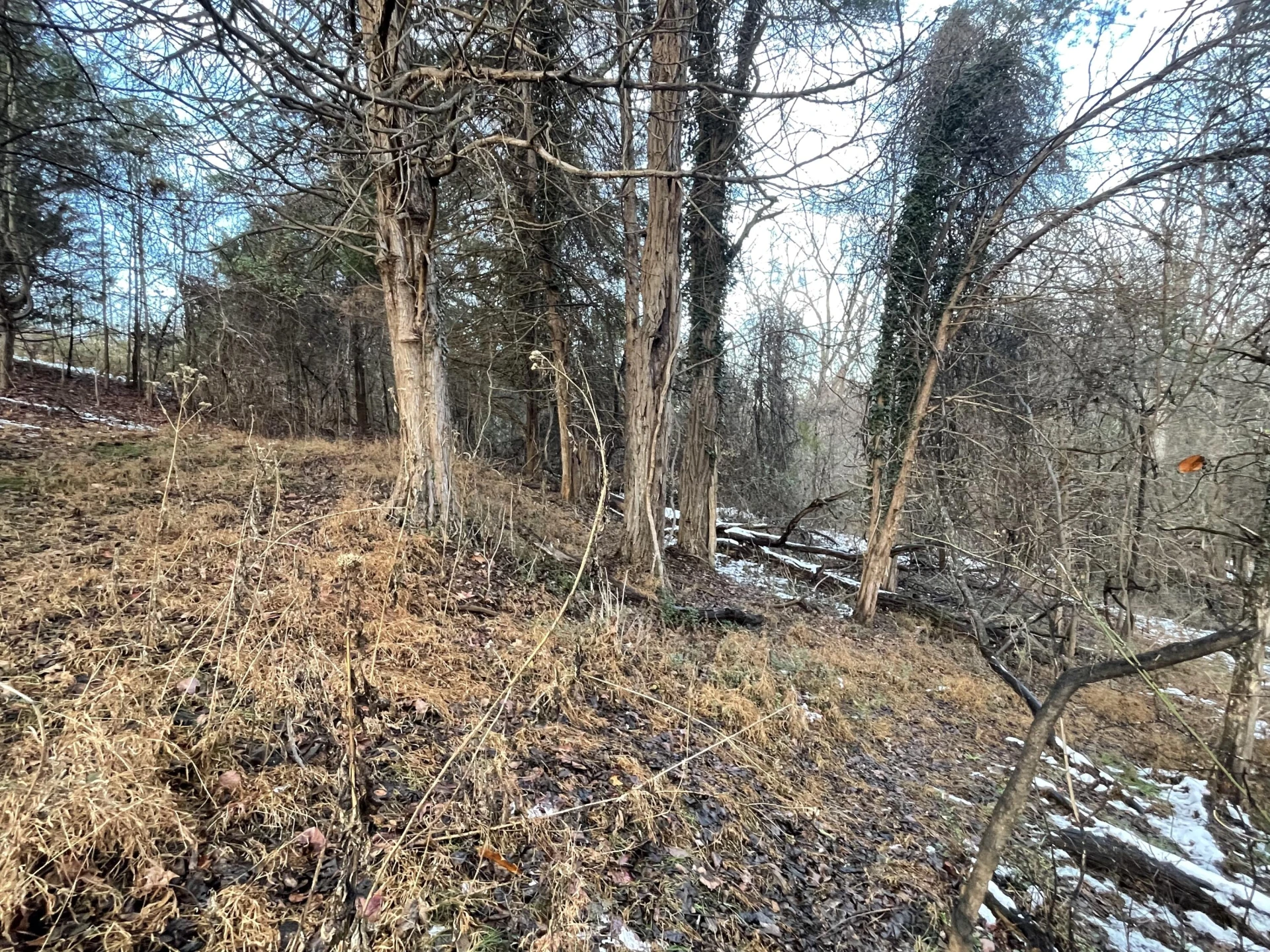 0 Burks Hill RD - Photo 19