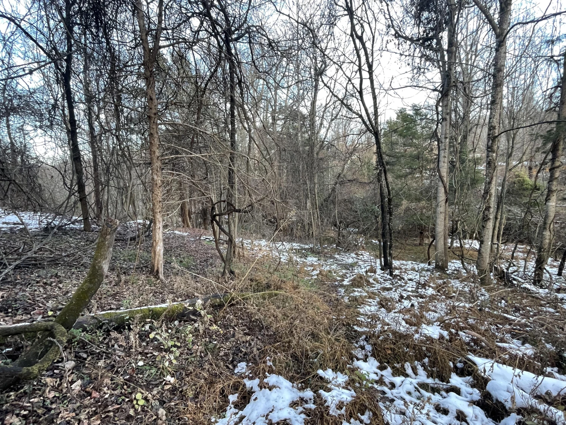 0 Burks Hill RD - Photo 20