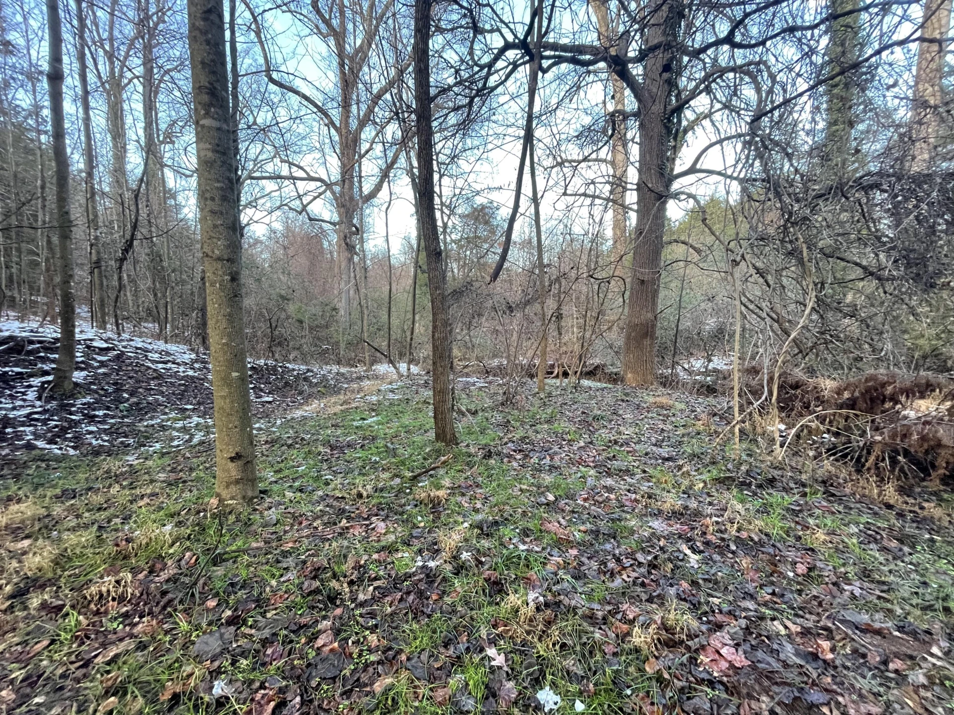 0 Burks Hill RD - Photo 22