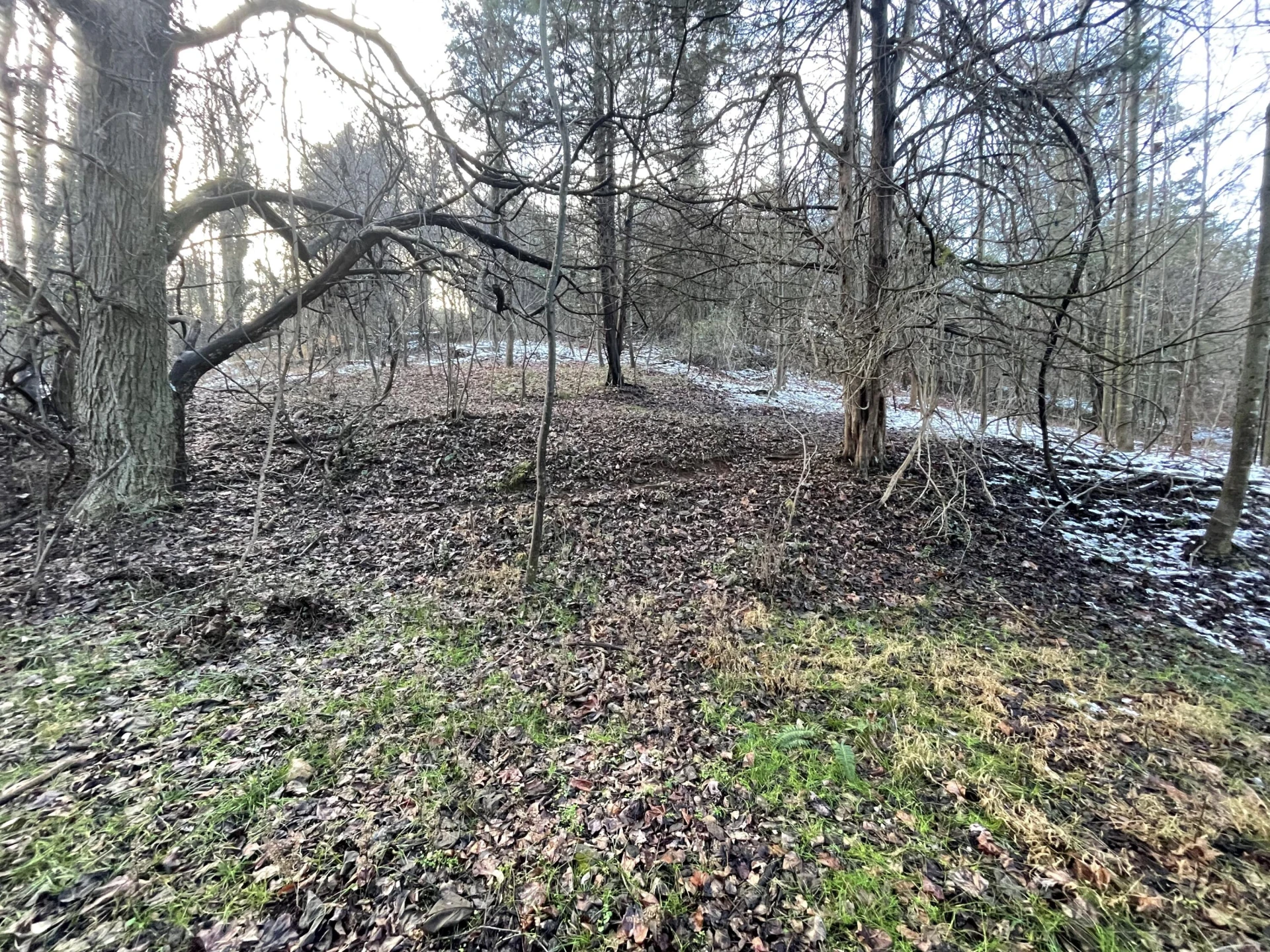 0 Burks Hill RD - Photo 23