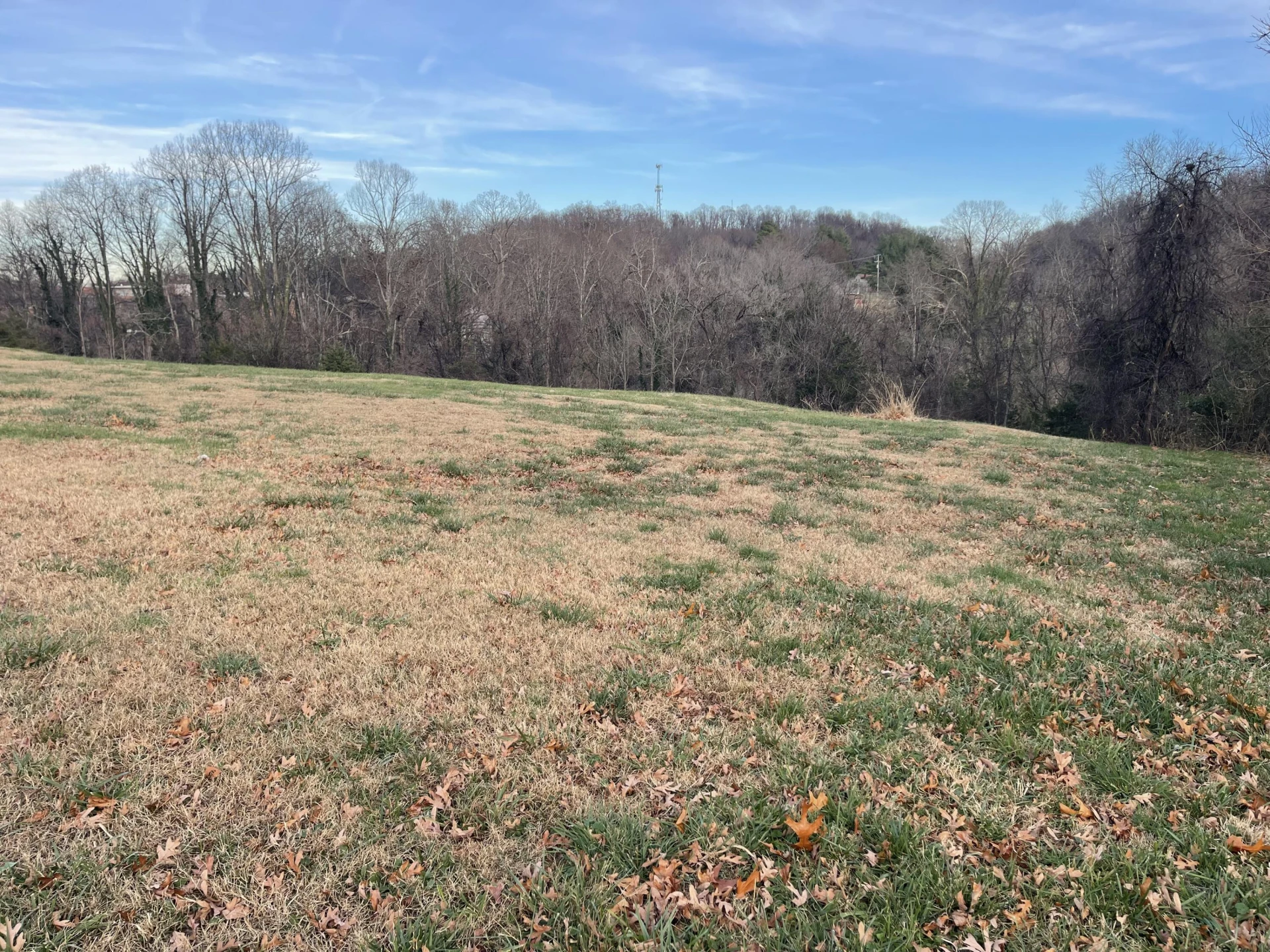 0 Burks Hill RD - Photo 4
