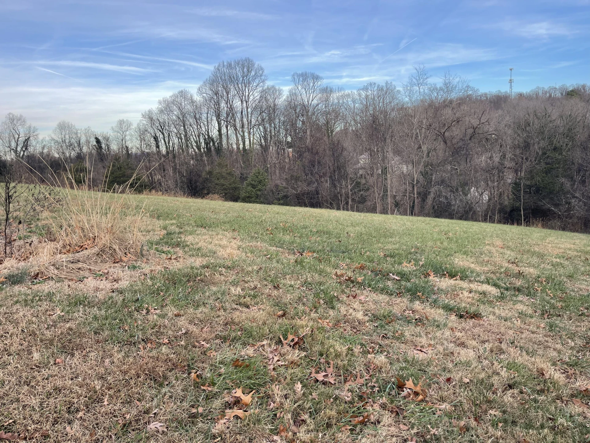 0 Burks Hill RD - Photo 5
