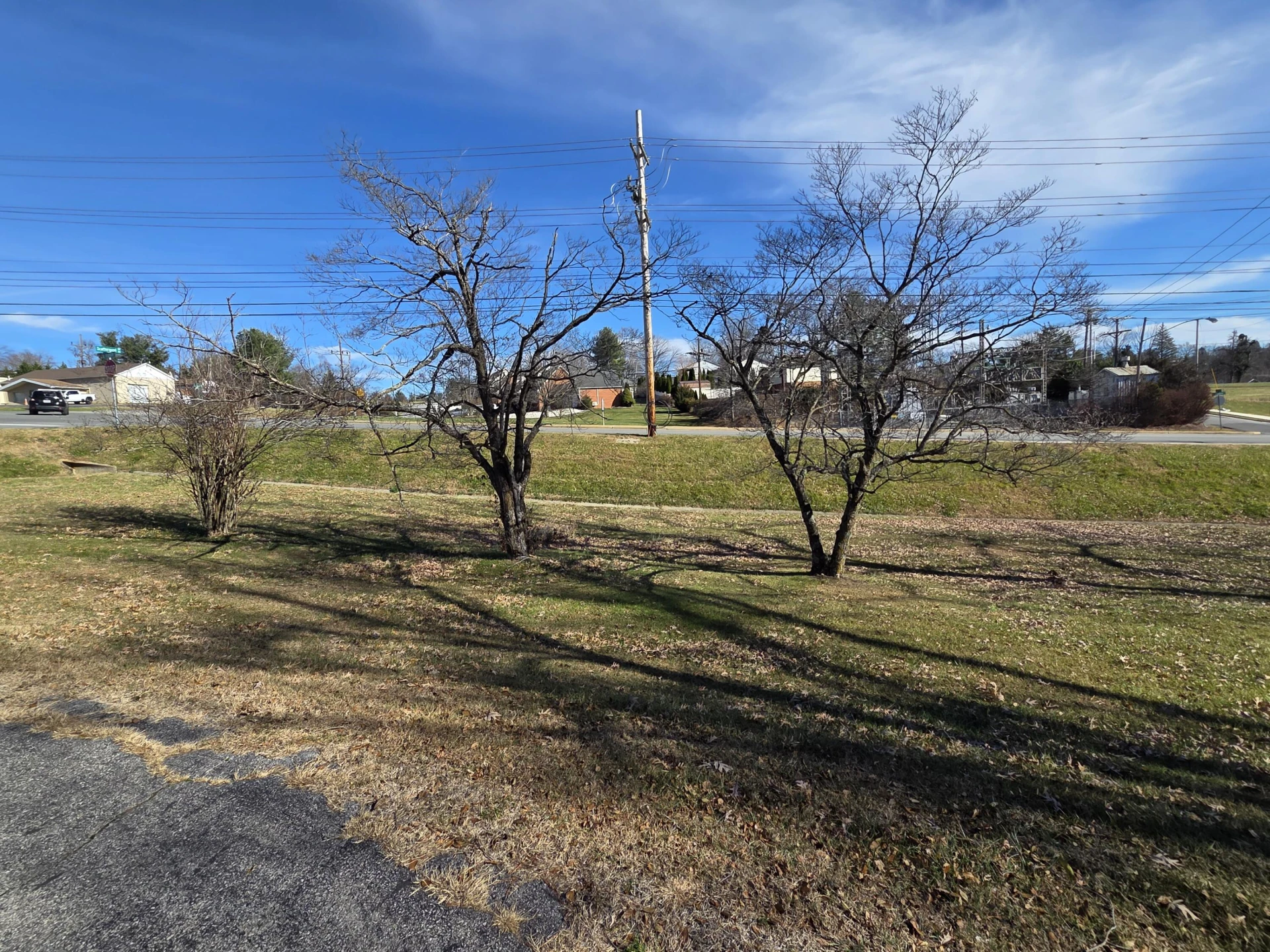 45 Scattergood DR - Photo 20
