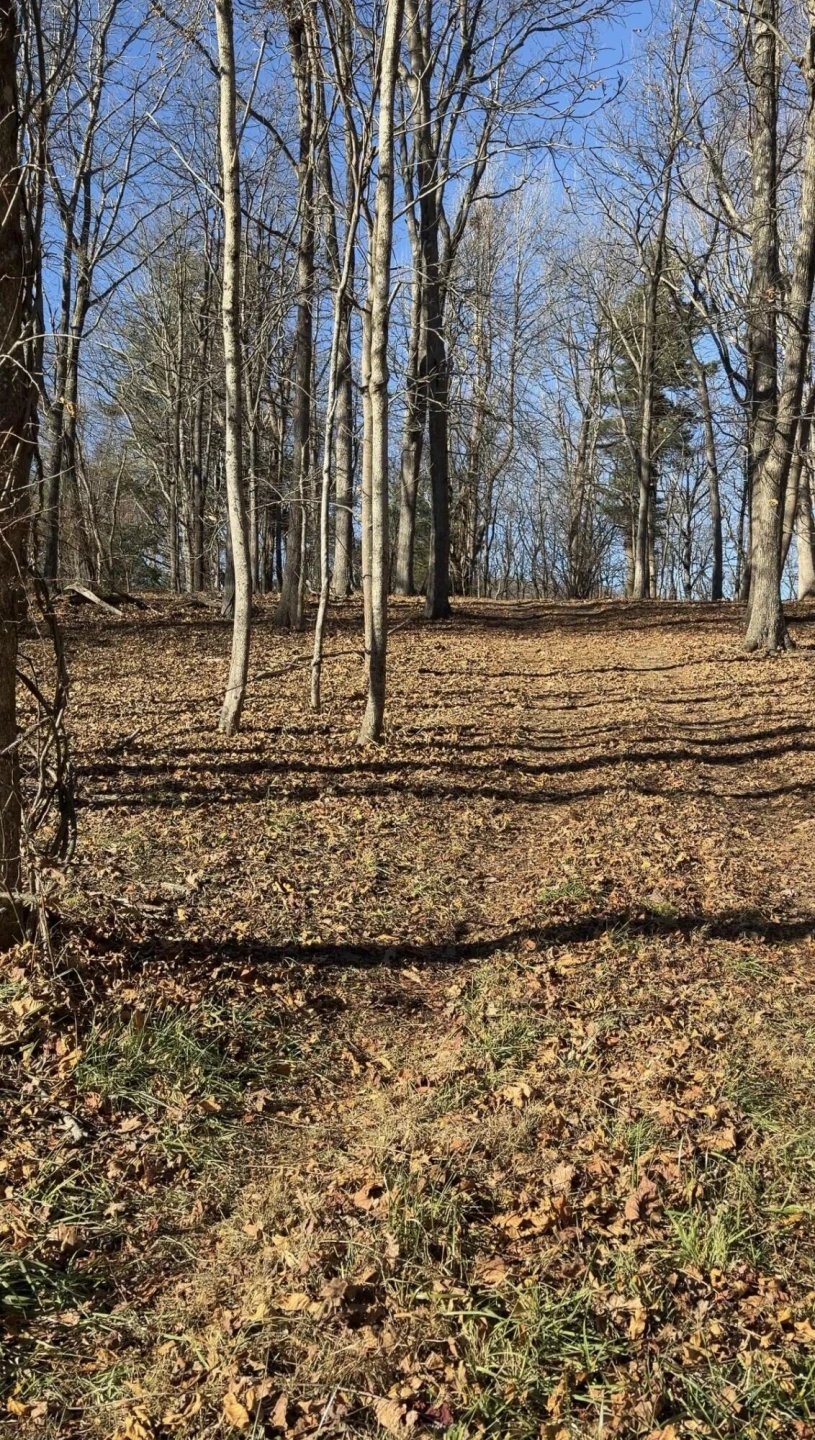 0 Overlook Ridge DR - Photo 10
