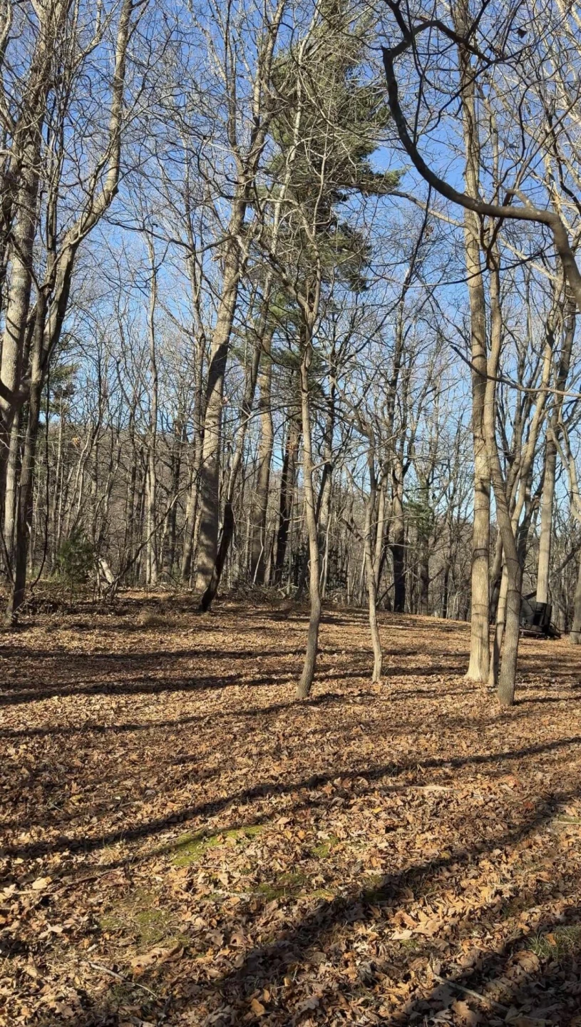 0 Overlook Ridge DR - Photo 11