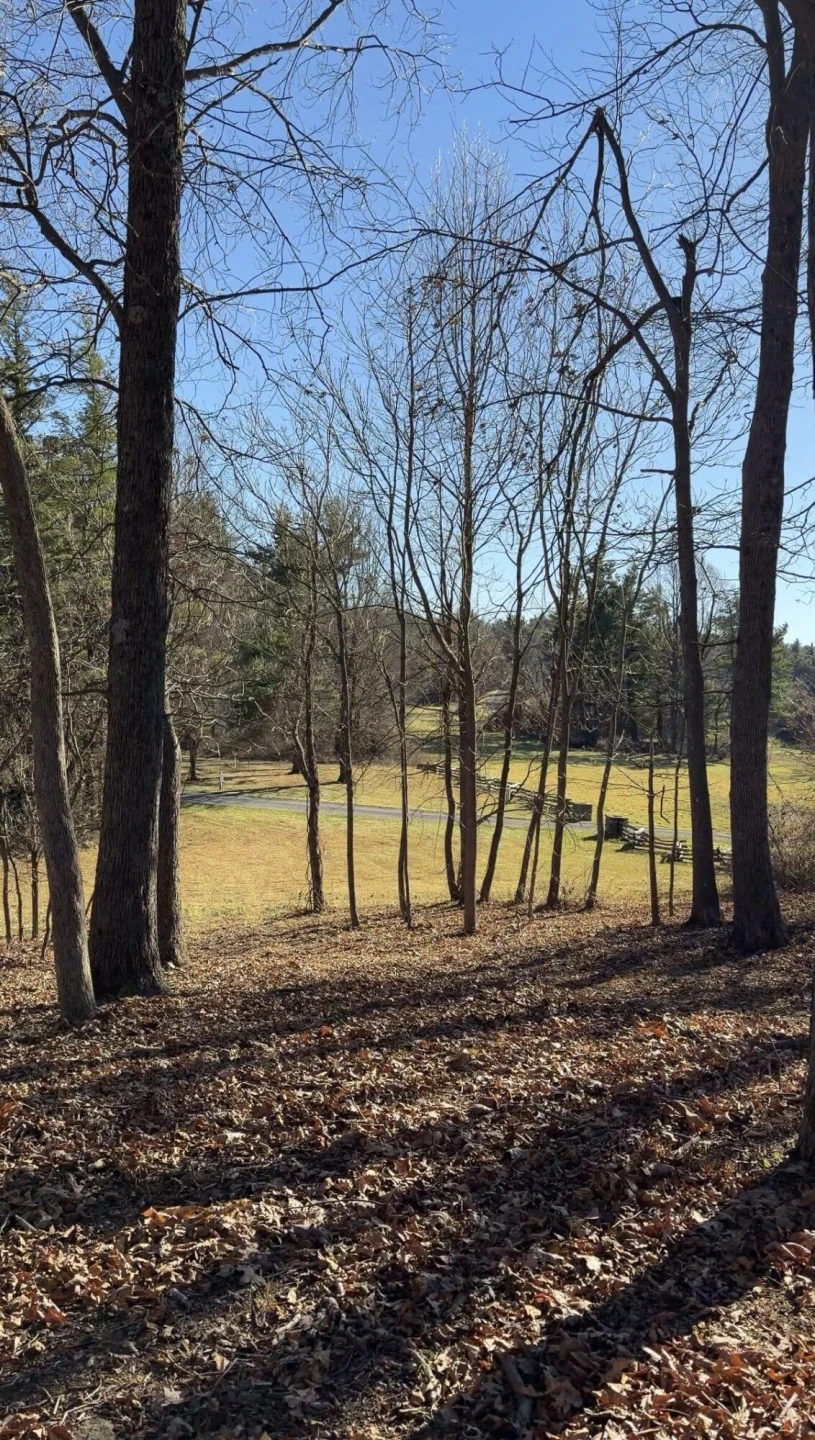 0 Overlook Ridge DR - Photo 12