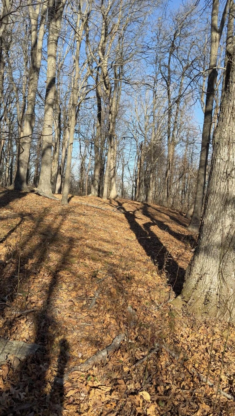 0 Overlook Ridge DR - Photo 13