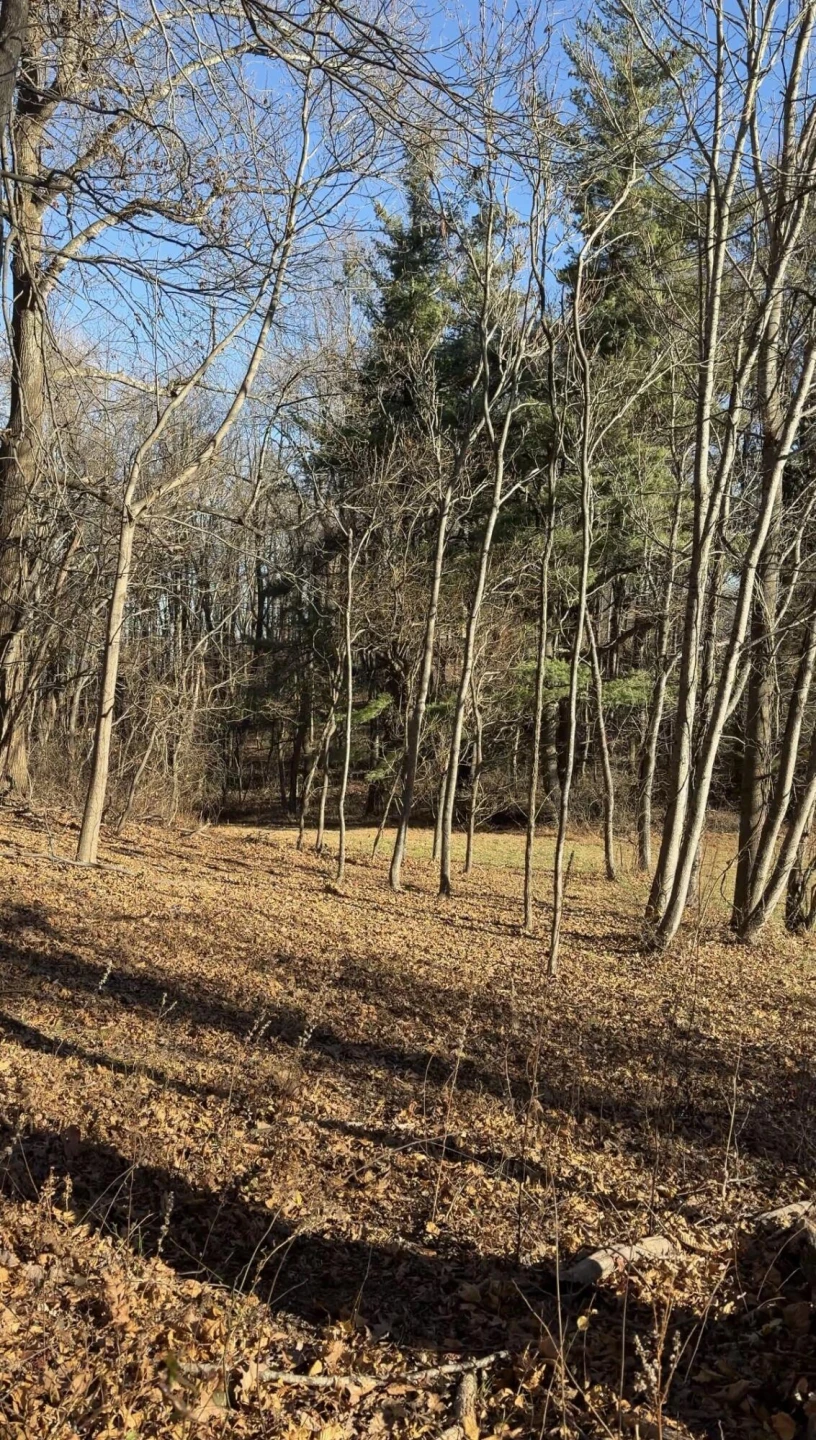 0 Overlook Ridge DR - Photo 14
