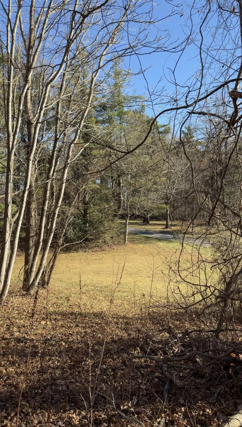 0 Overlook Ridge DR - Photo 15