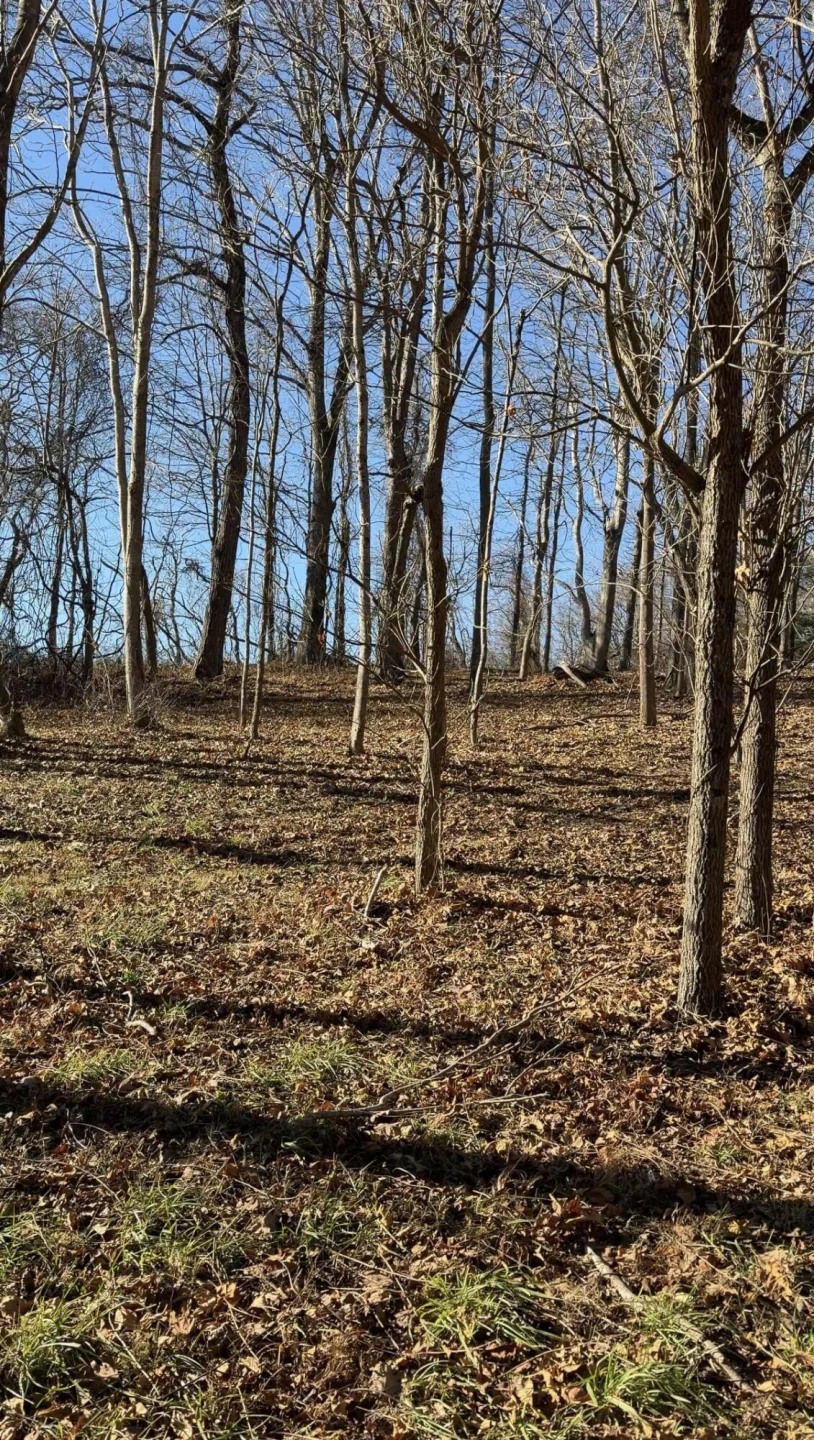 0 Overlook Ridge DR - Photo 16