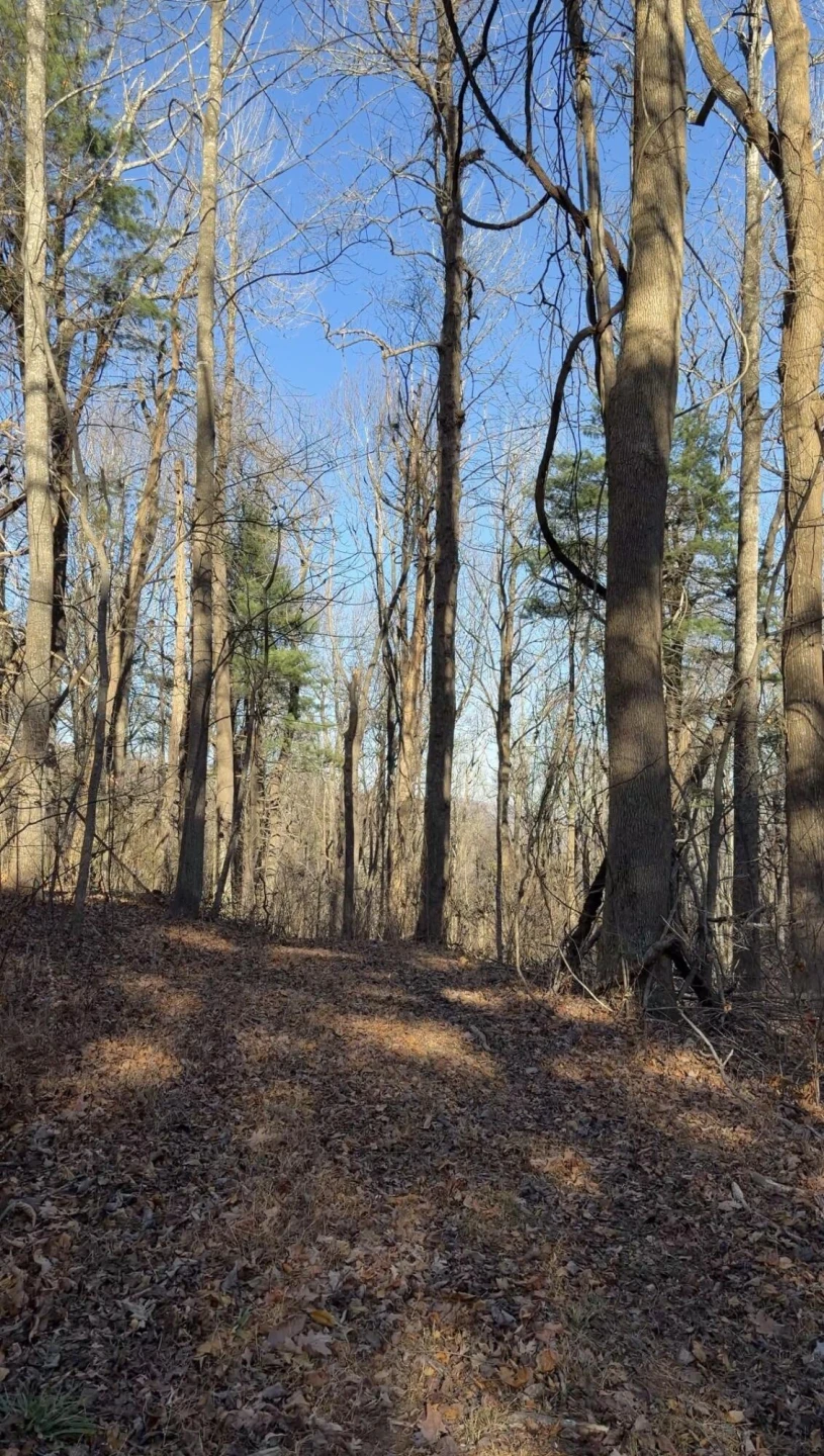 0 Overlook Ridge DR - Photo 17