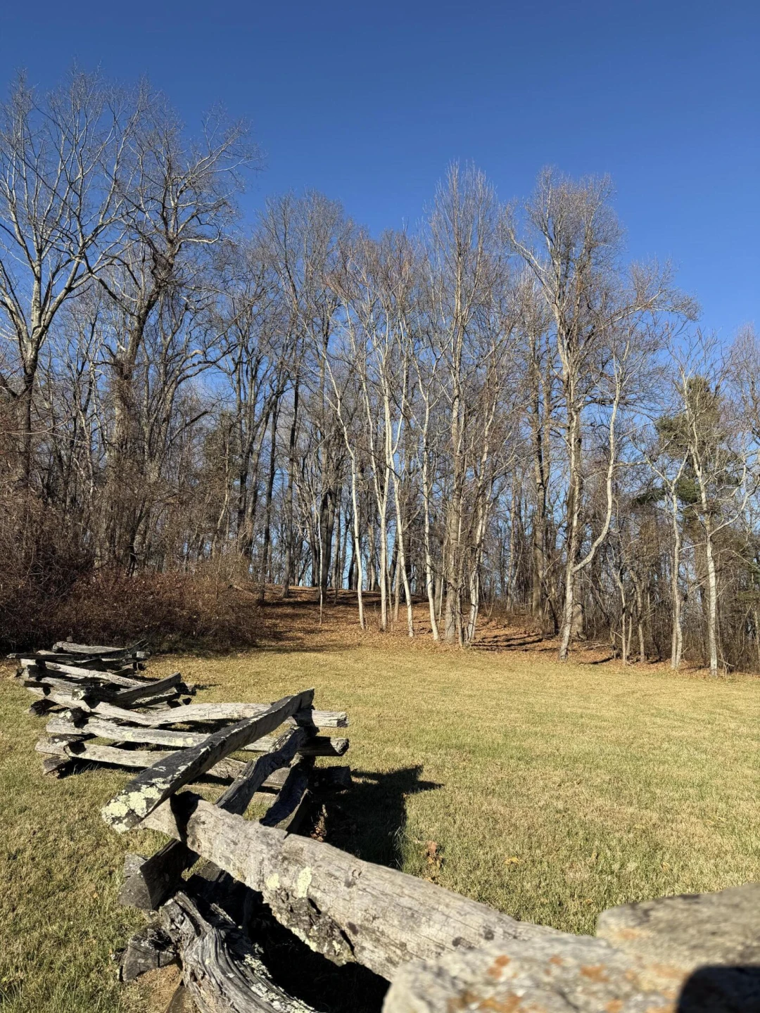 0 Overlook Ridge DR - Photo 4