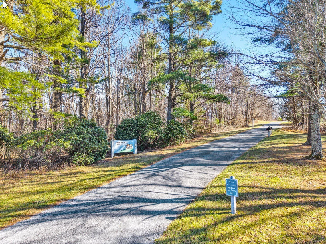 0 Overlook Ridge DR - Photo 6