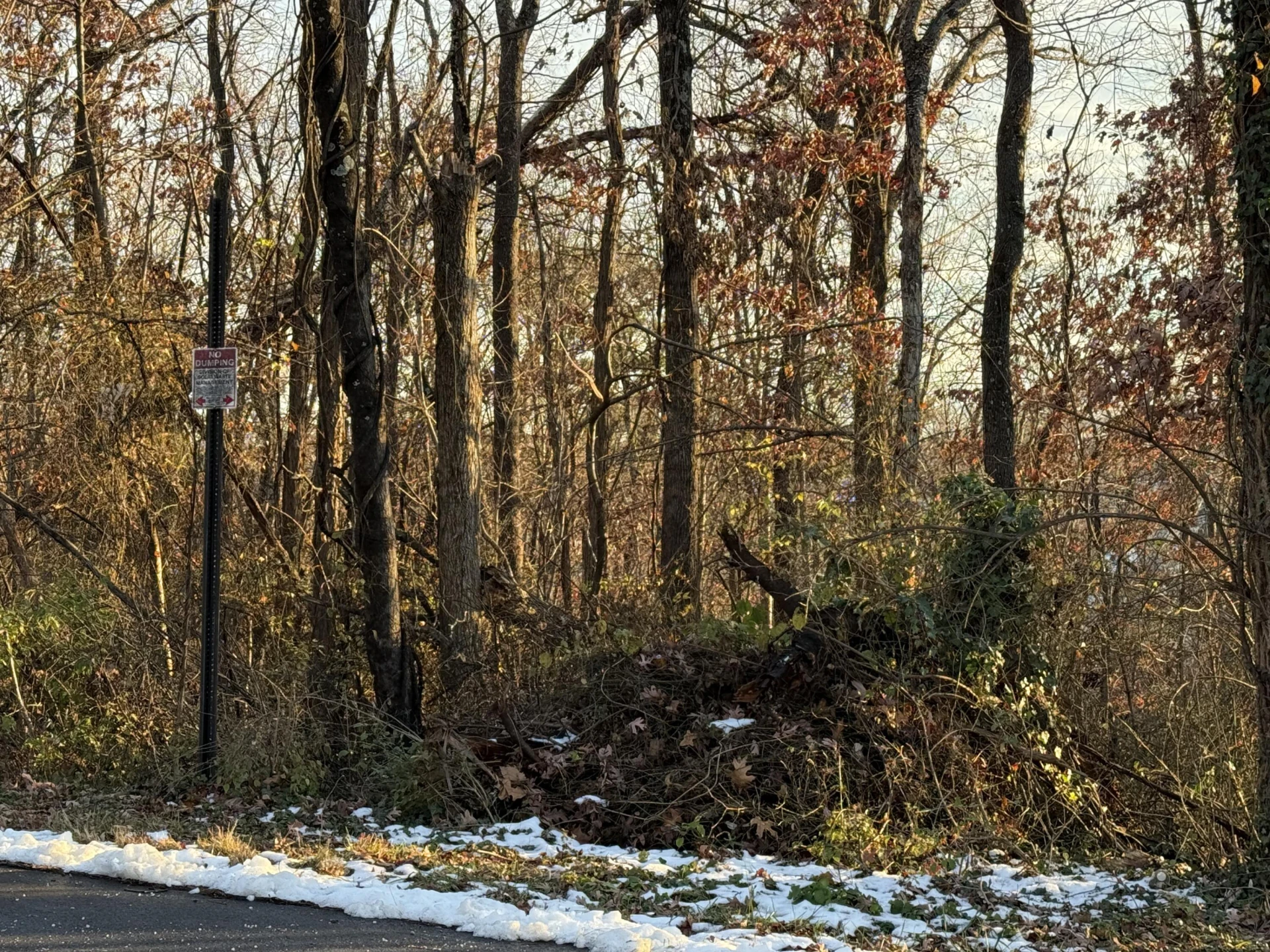 0 Panorama AVE - Photo 3