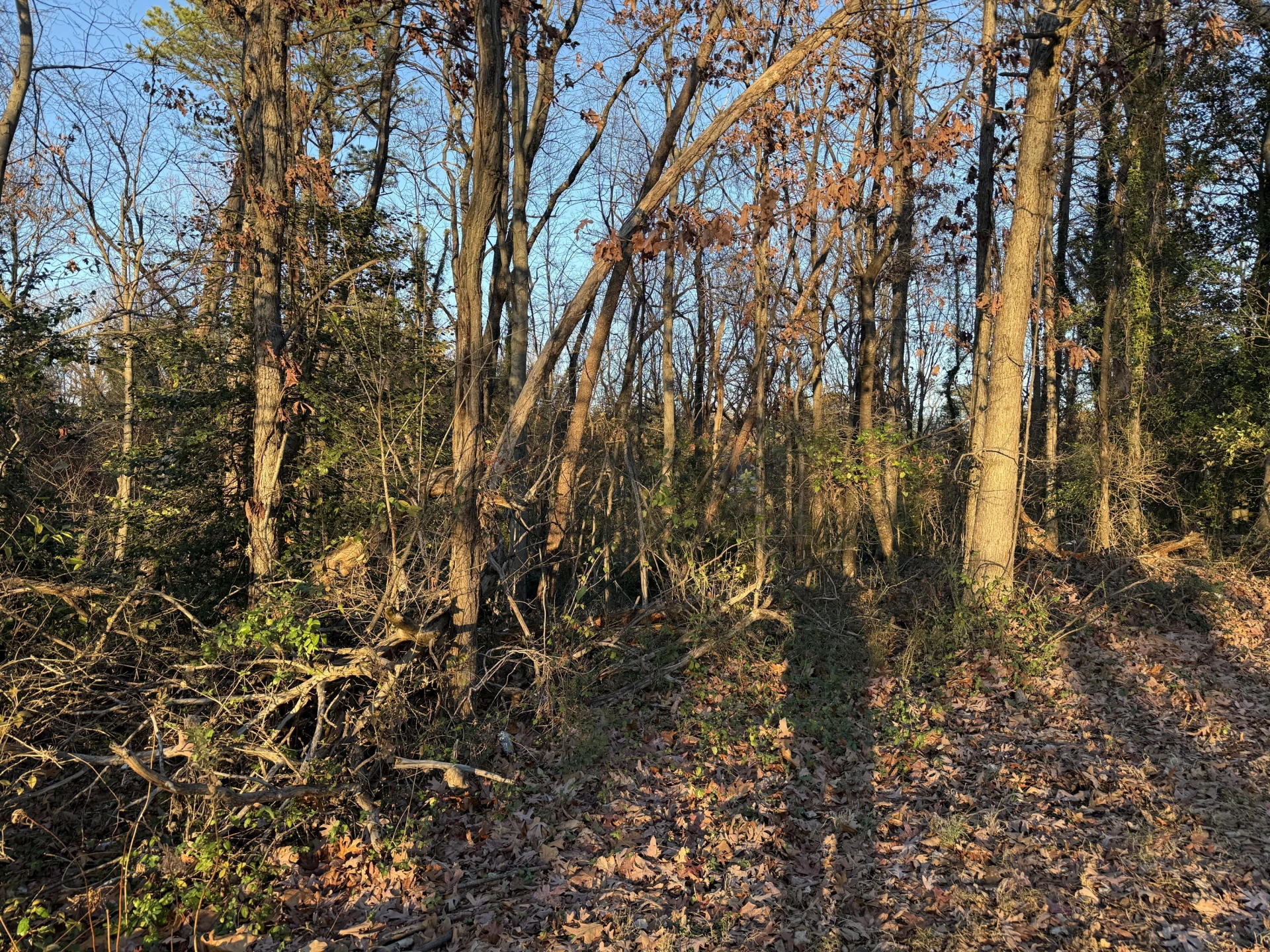 0 Panorama AVE - Photo 4
