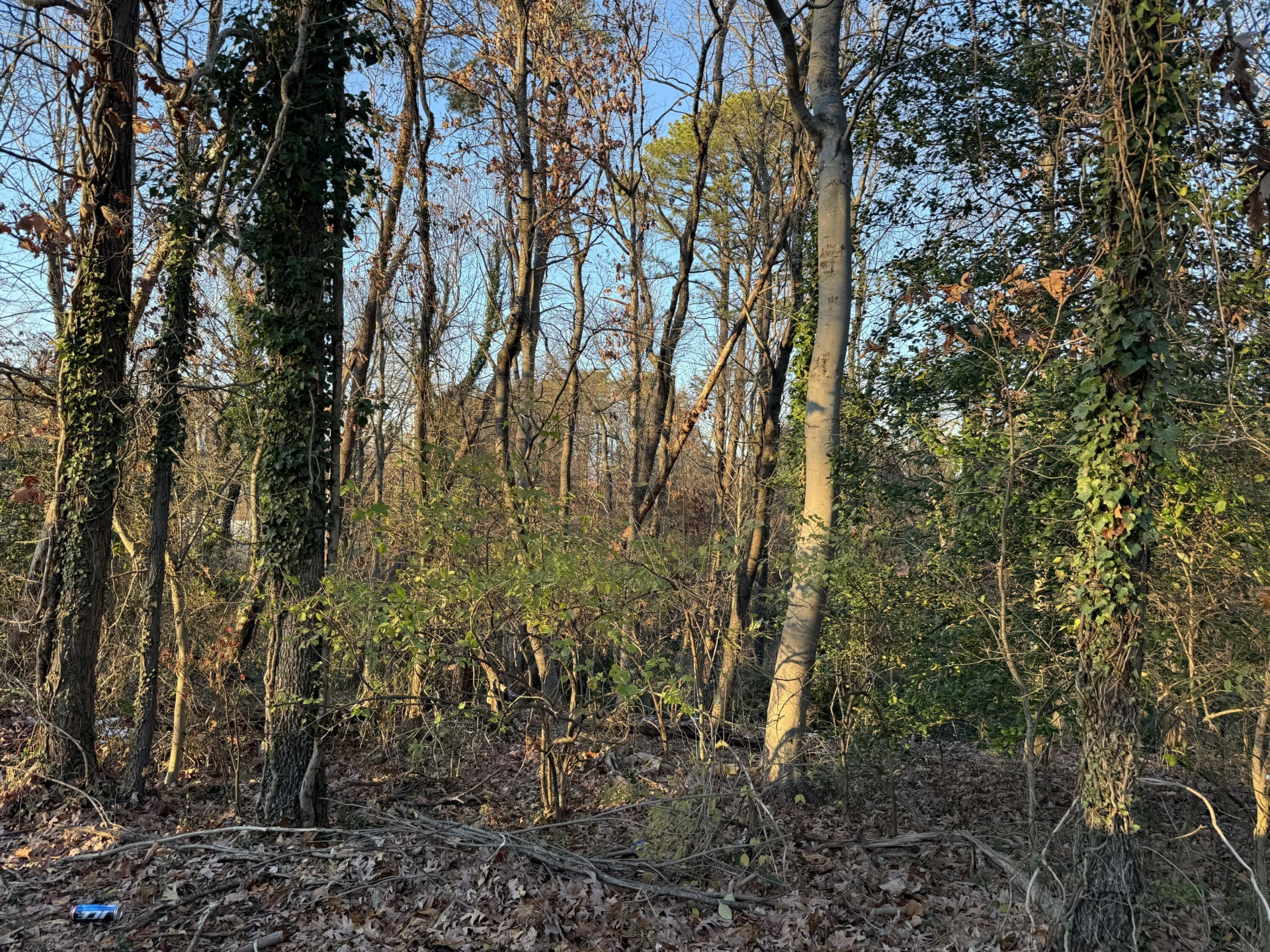 0 Panorama AVE - Photo 6