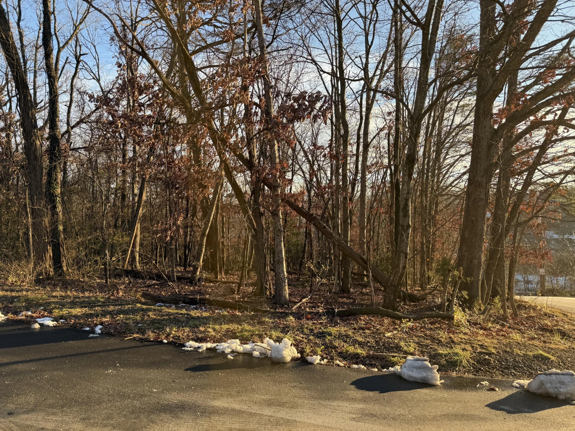 0 Panorama AVE - Photo 2