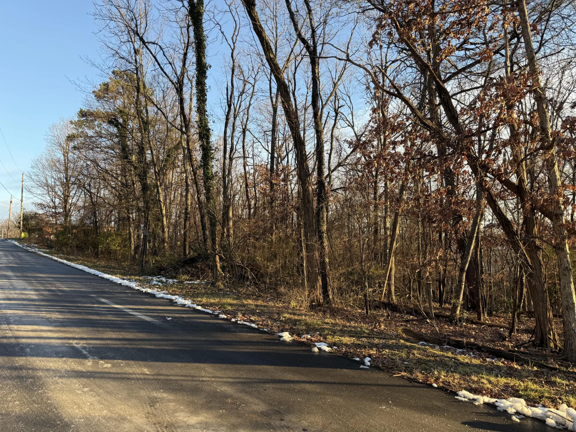 0 Panorama AVE - Photo 3