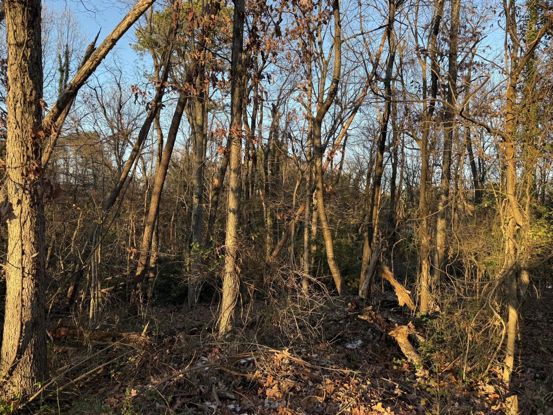 0 Panorama AVE - Photo 5