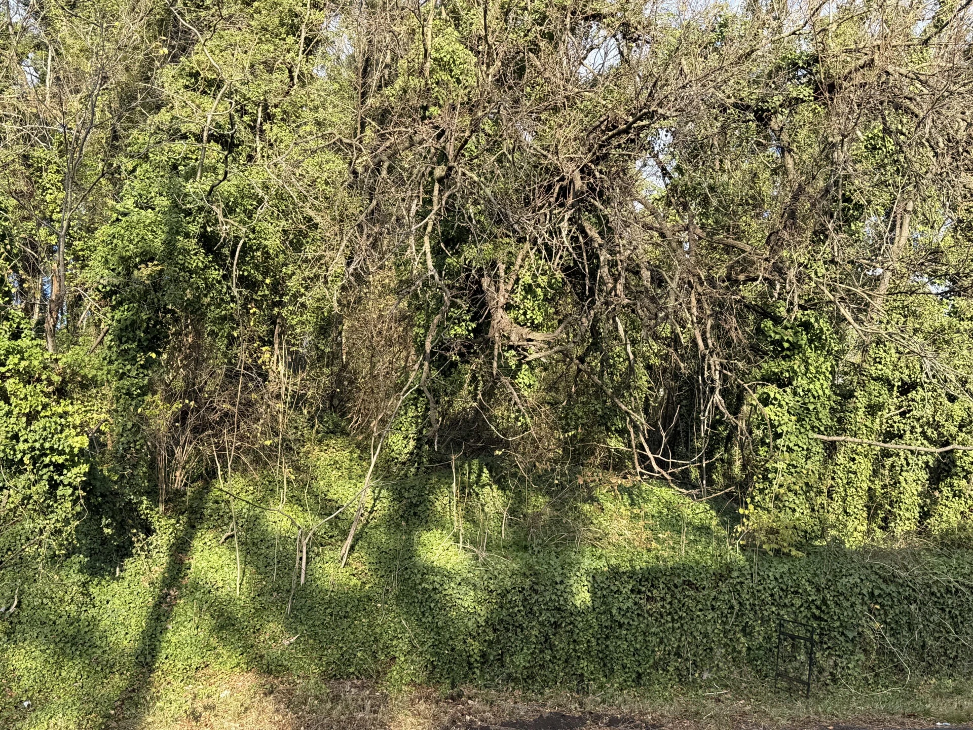 721 Moorman AVE - Photo 4