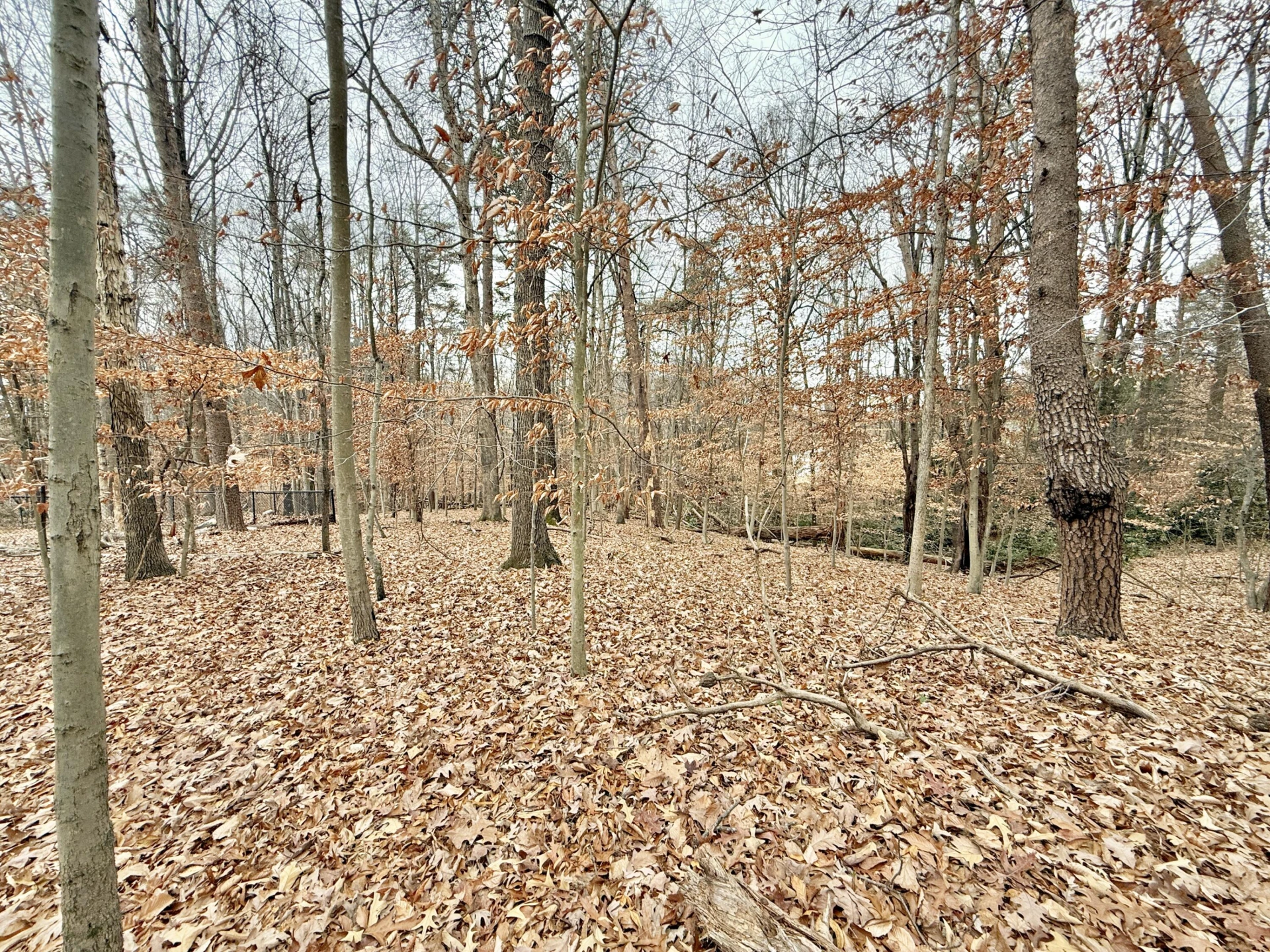 802 Independence DR - Photo 2