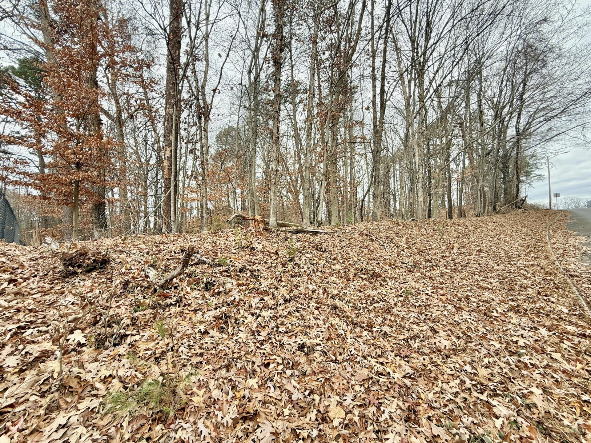 802 Independence DR - Photo 3