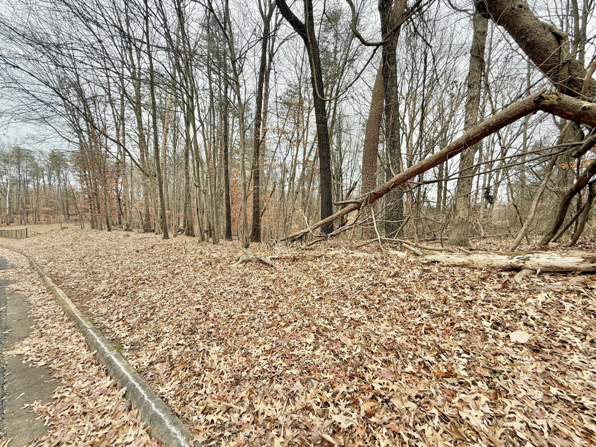 802 Independence DR - Photo 4
