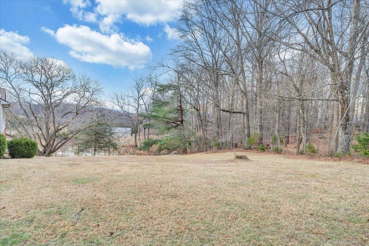 1996 Shavers Farm  RD - Photo 61
