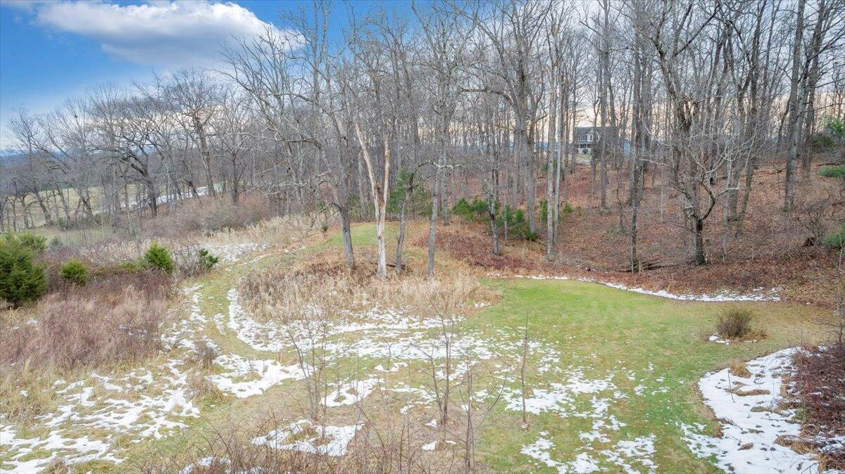 1996 Shavers Farm  RD - Photo 62