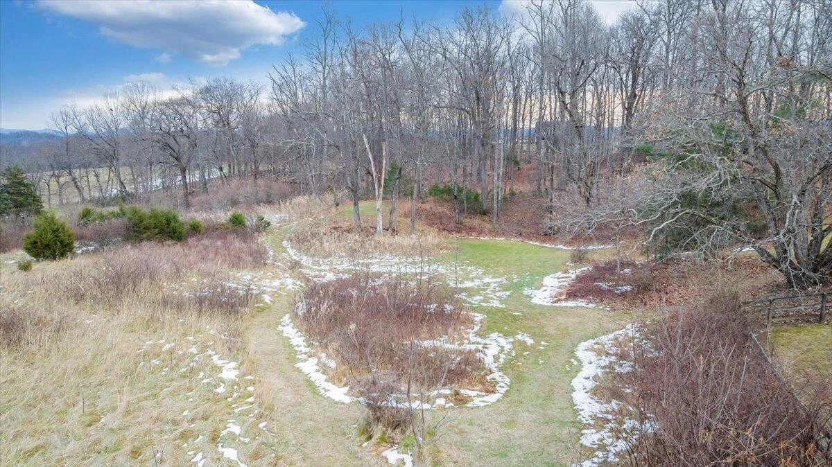 1996 Shavers Farm  RD - Photo 63
