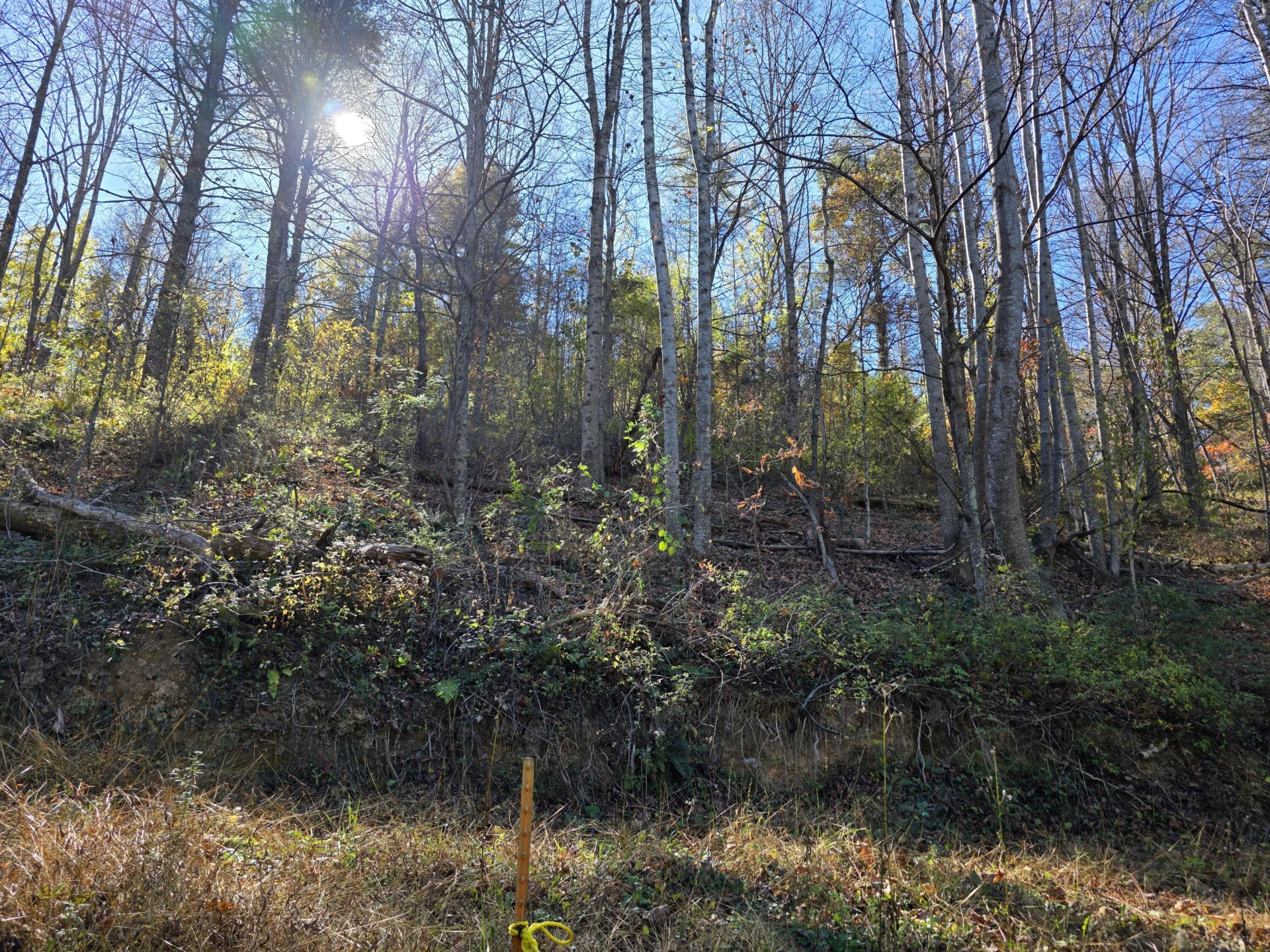 0 Pilot RD - Photo 5