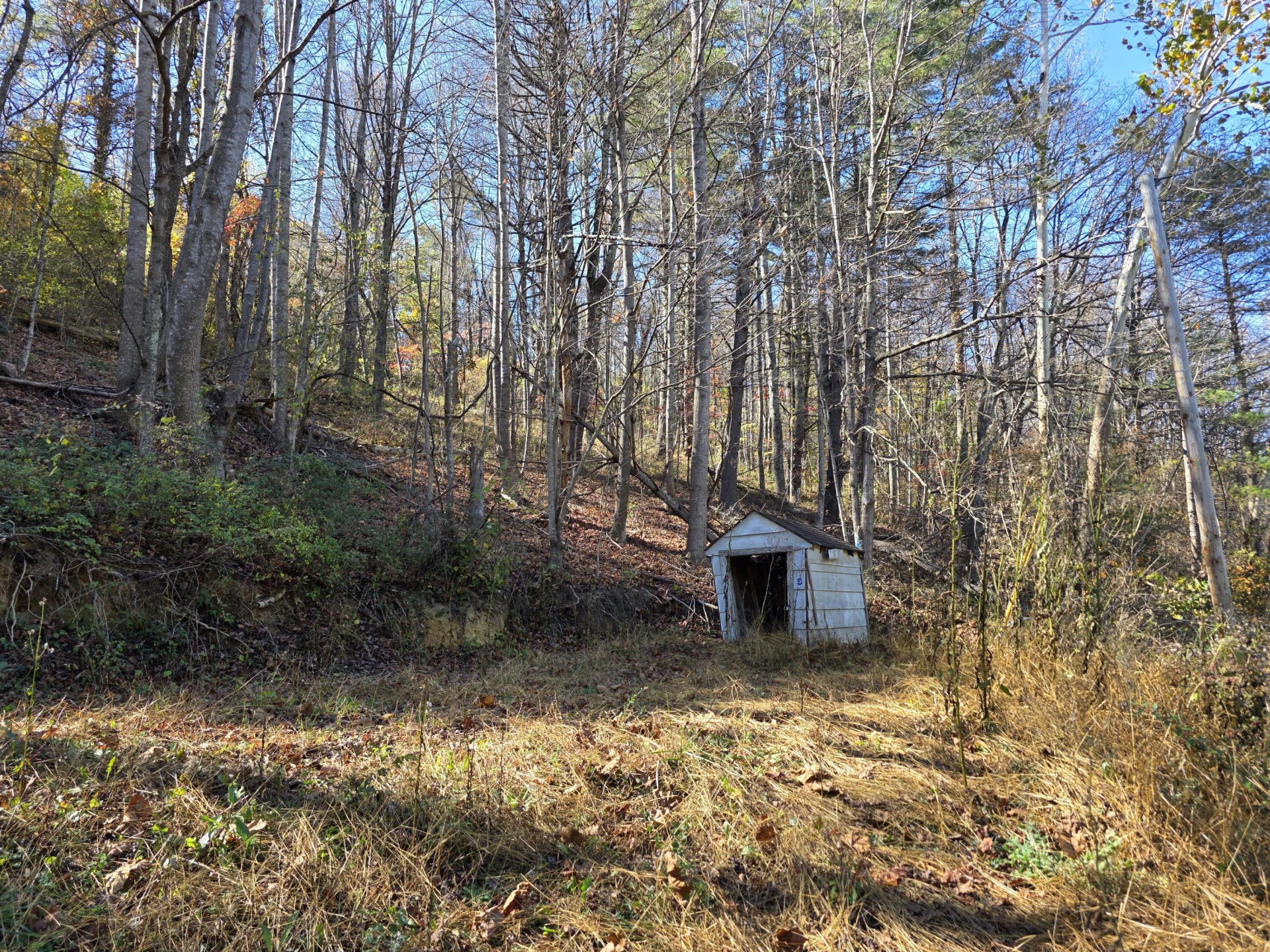 0 Pilot RD - Photo 6