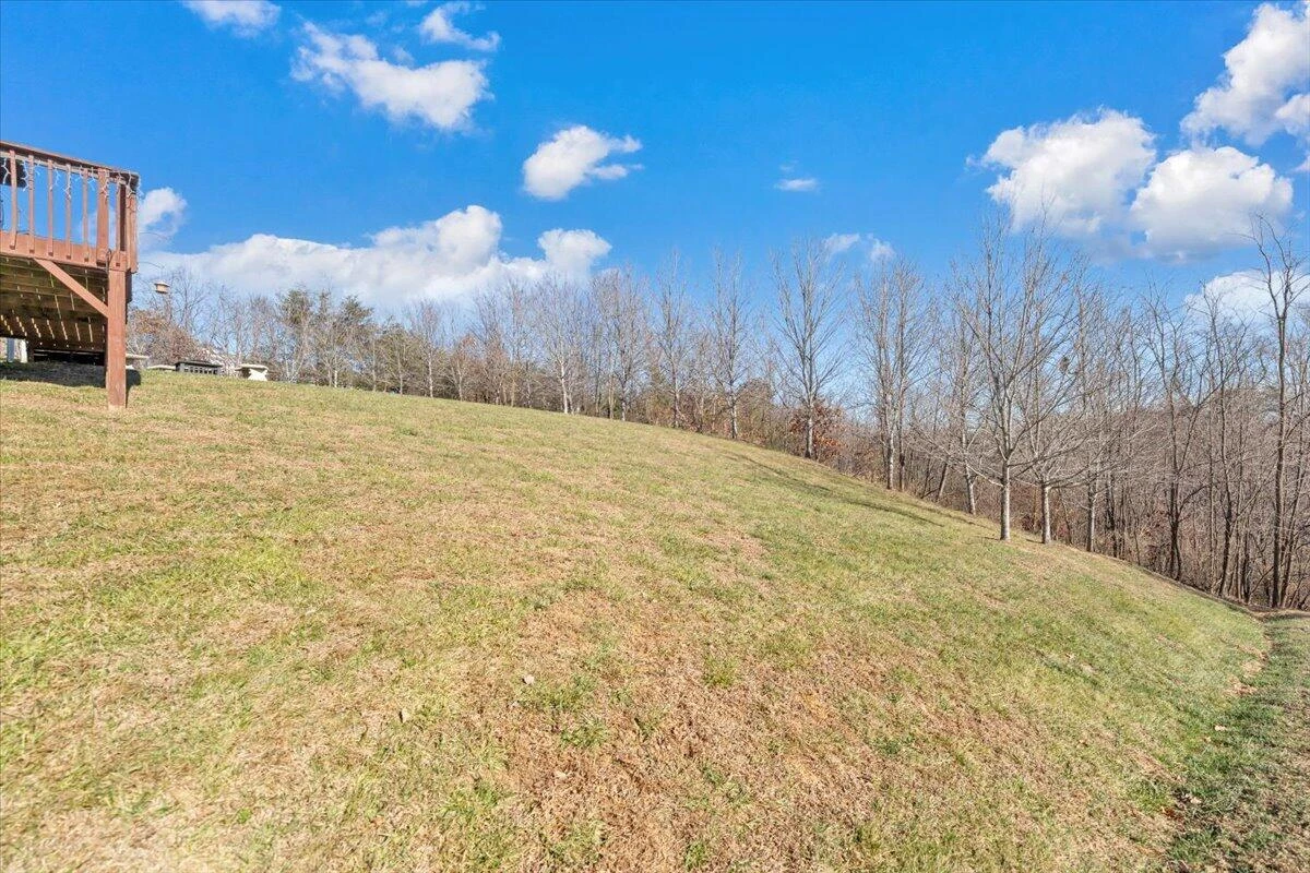 317 Timothy LN - Photo 52