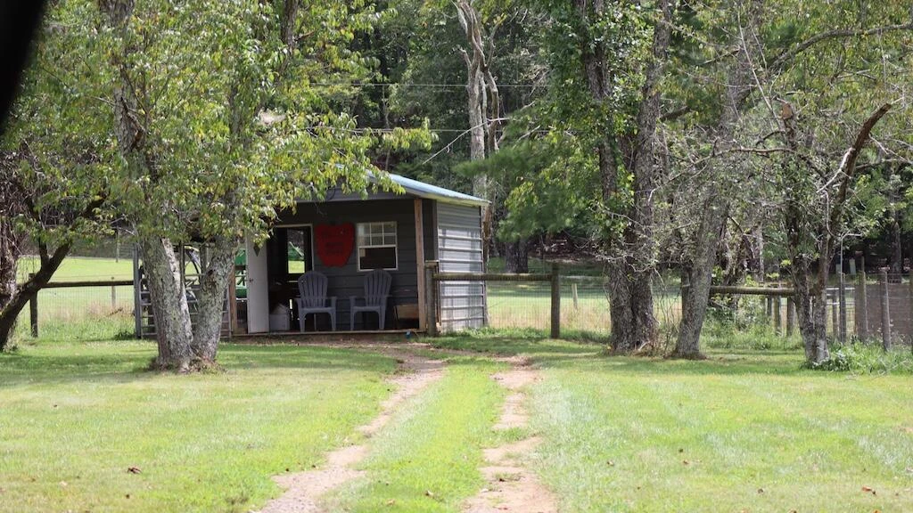 1247 Cannady School RD - Photo 3