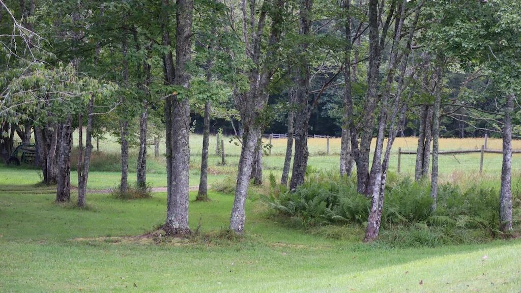 1247 Cannady School RD - Photo 33