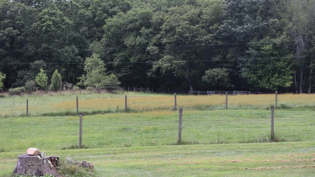 1247 Cannady School RD - Photo 34