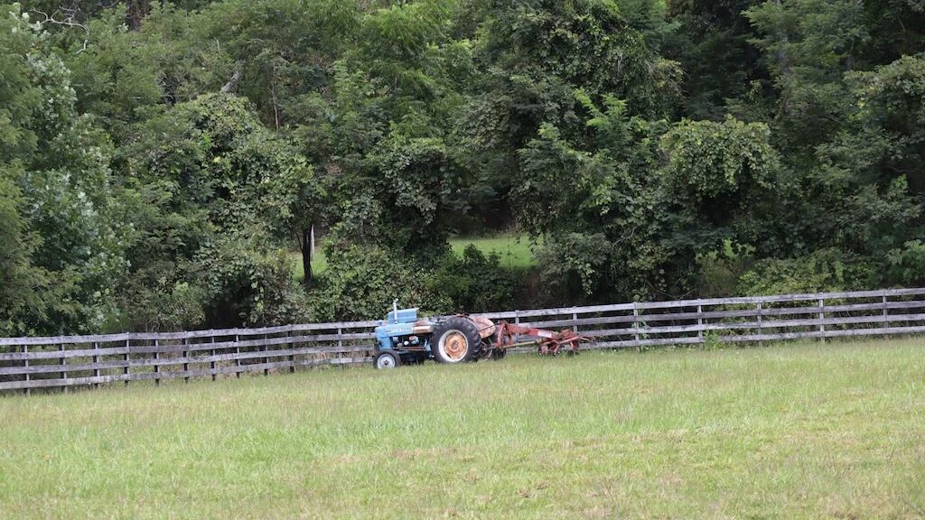 1247 Cannady School RD - Photo 35