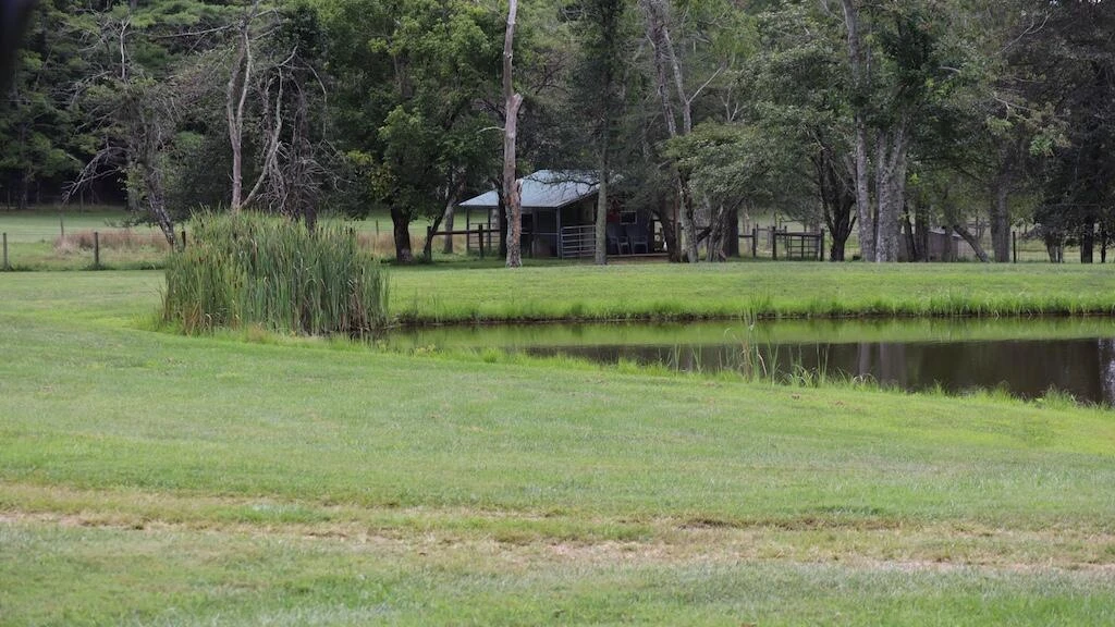 1247 Cannady School RD - Photo 36