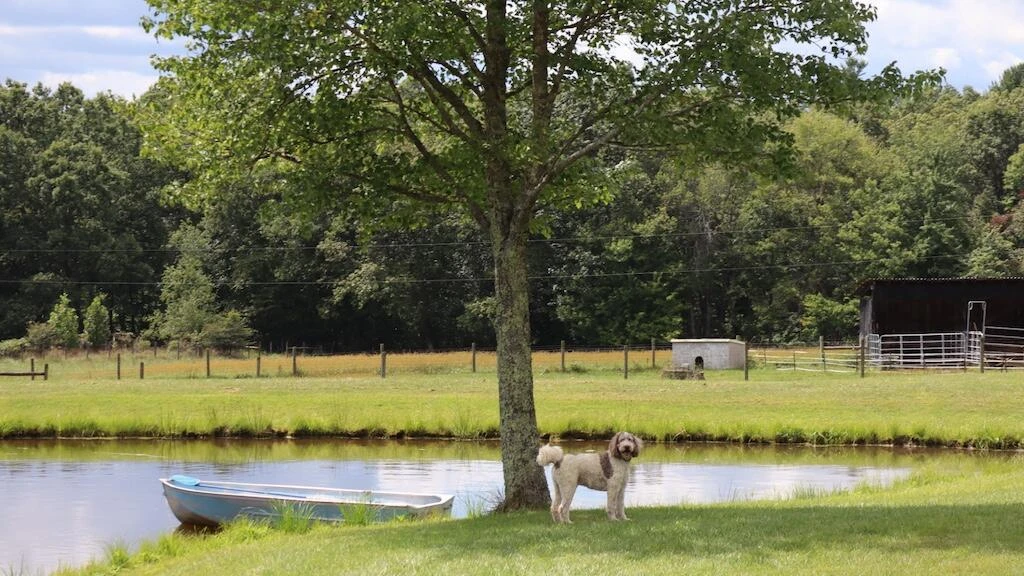 1247 Cannady School RD - Photo 37