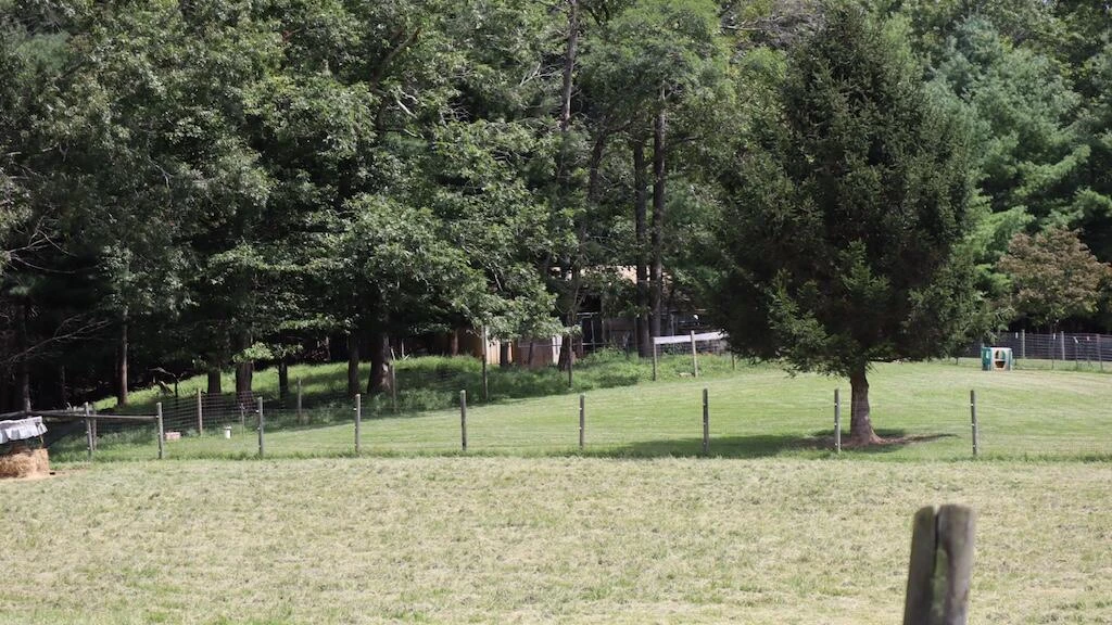 1247 Cannady School RD - Photo 38