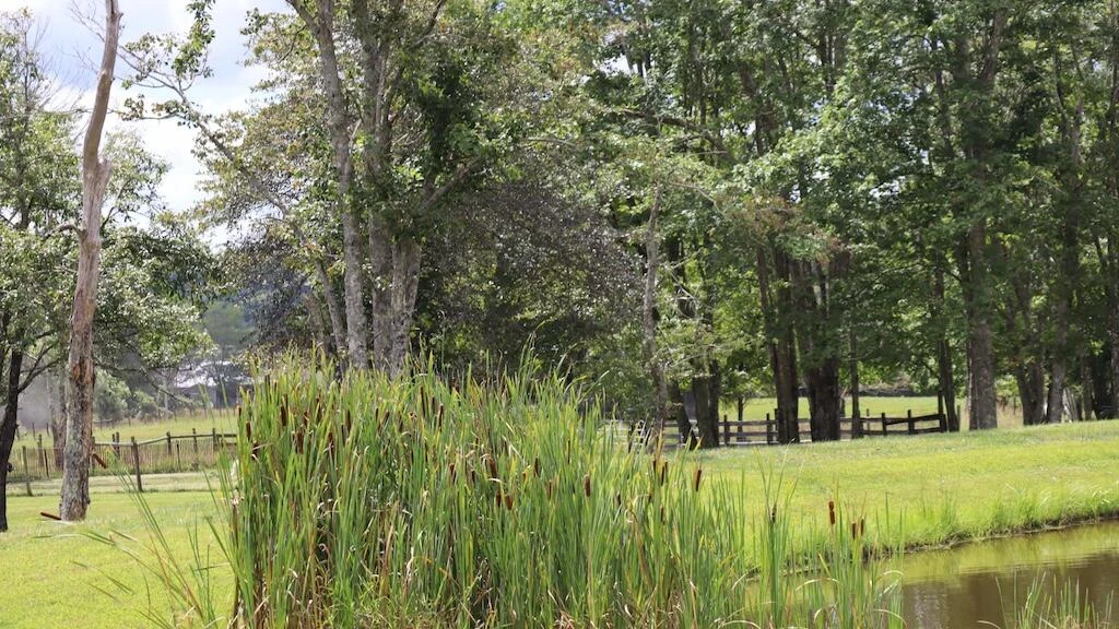 1247 Cannady School RD - Photo 39