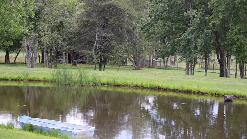 1247 Cannady School RD - Photo 4