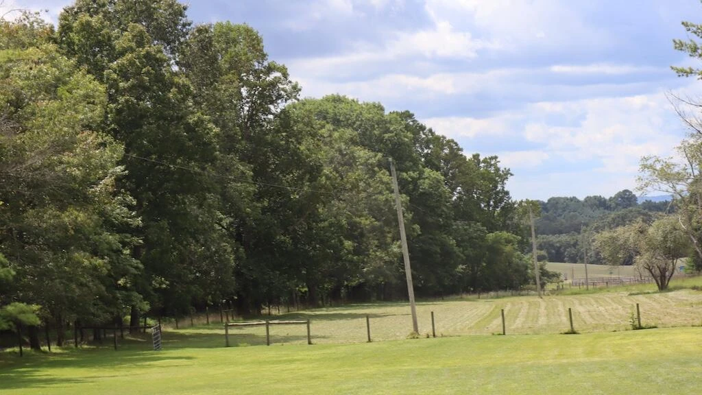 1247 Cannady School RD - Photo 40