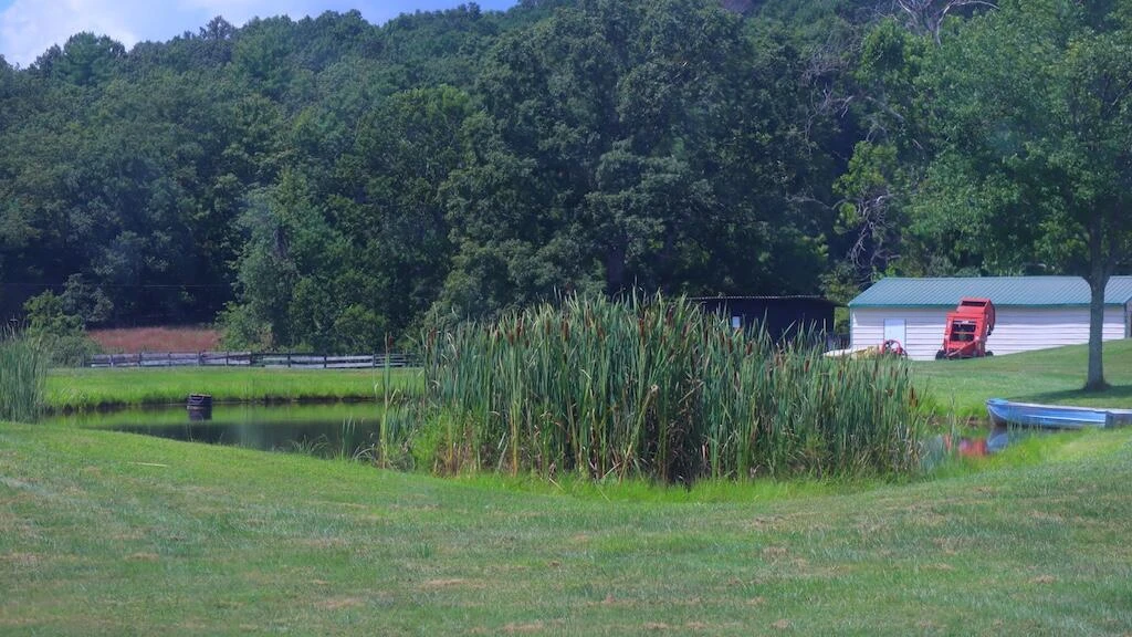 1247 Cannady School RD - Photo 42