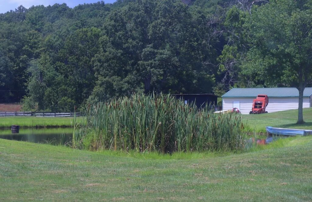 1247 Cannady School RD - Photo 43