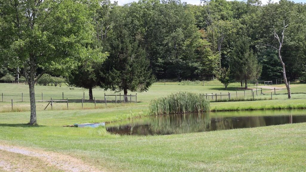 1247 Cannady School RD - Photo 44