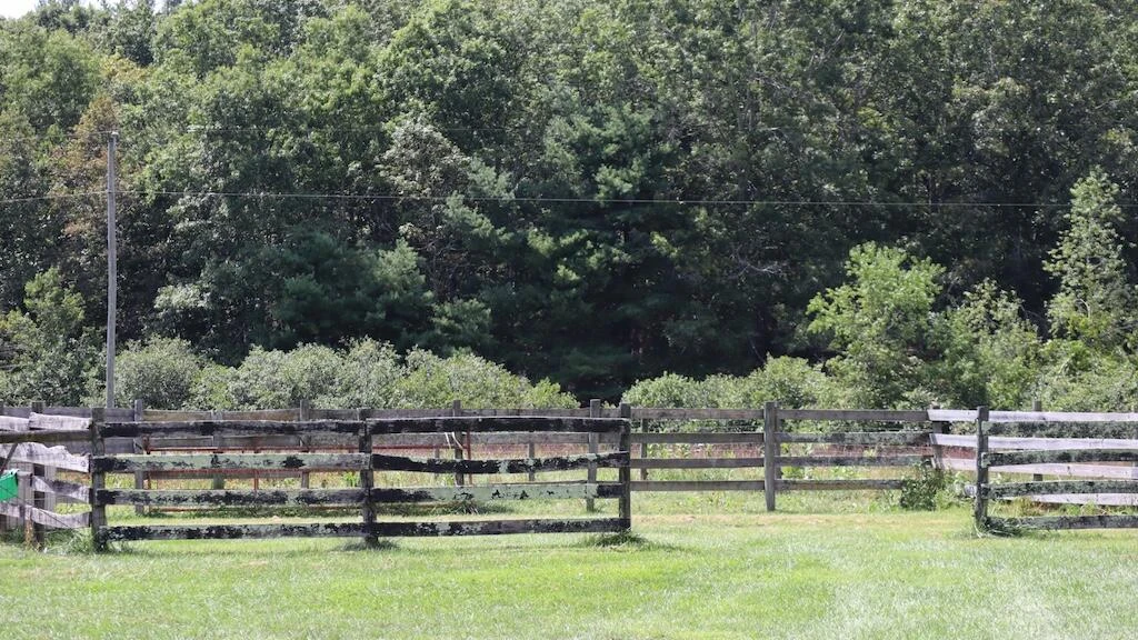 1247 Cannady School RD - Photo 45