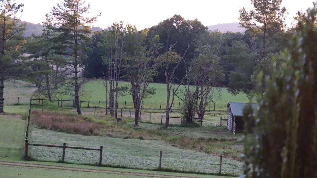 1247 Cannady School RD - Photo 46